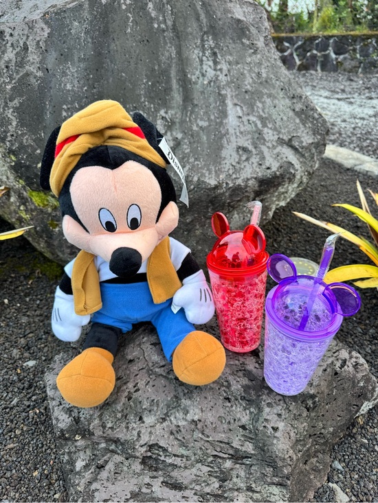 Disney Other - Disneyland Resort Mickey Mouse Plush & Mickey Ear Tumblers Bundle